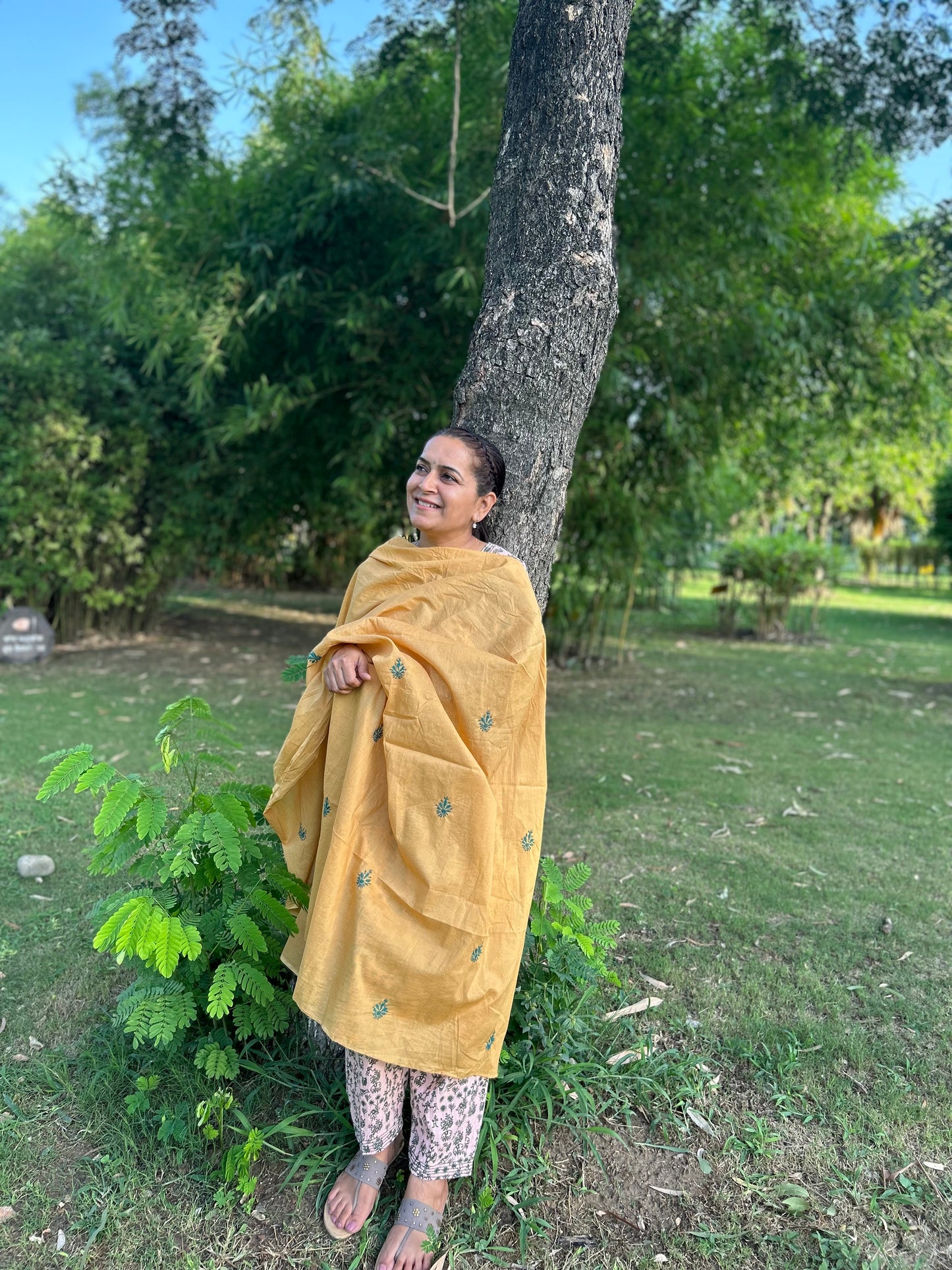 Light Brown Cotton Voile Chikankari Dupatta