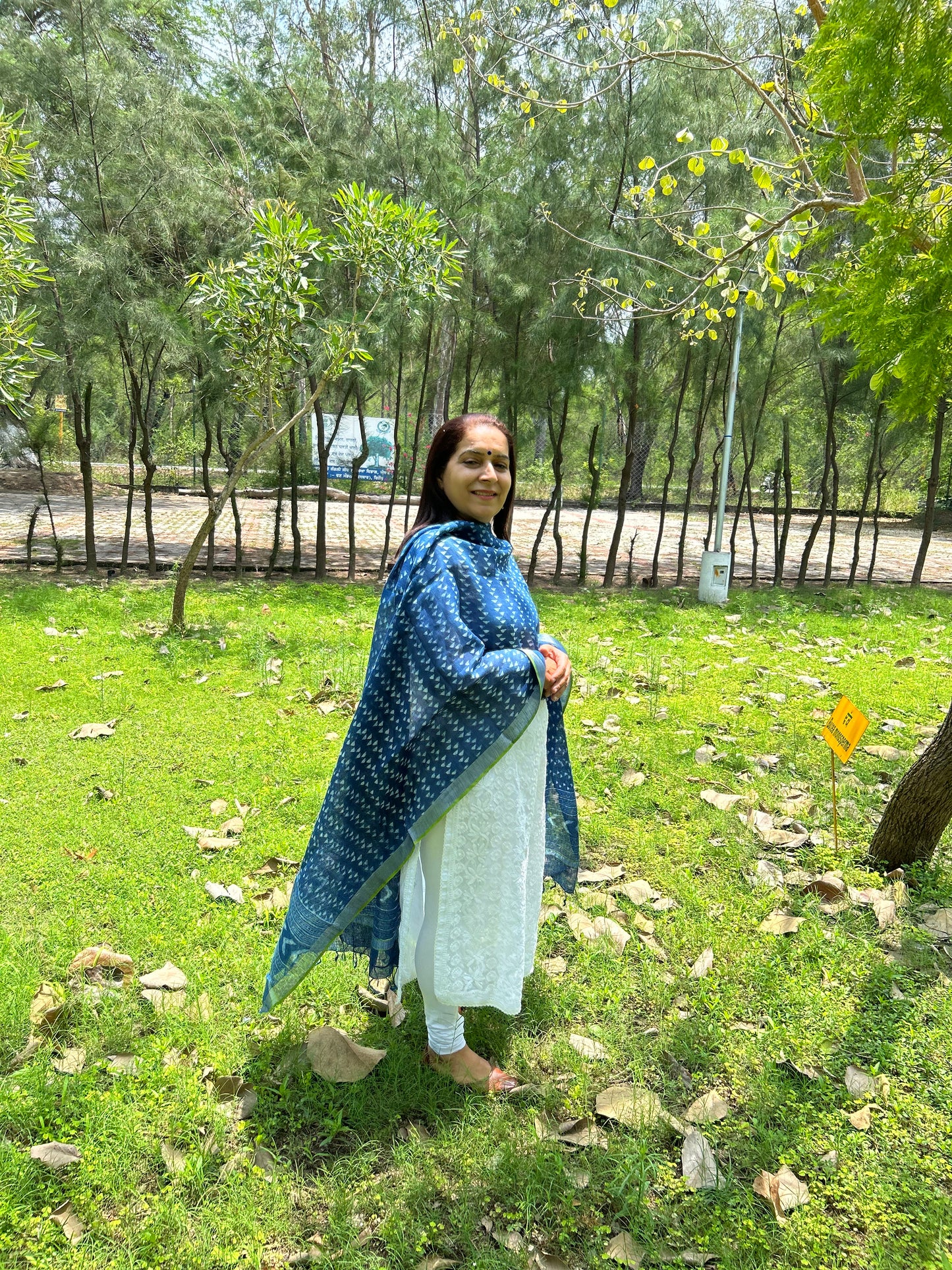 Indigo Linen Dupatta