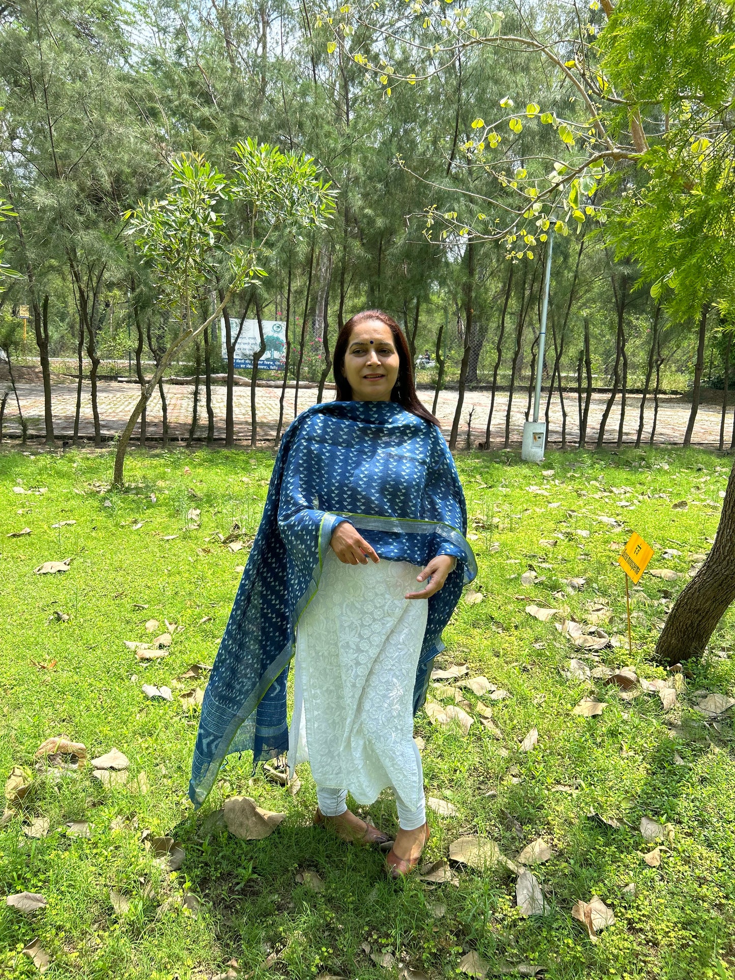 Indigo Linen Dupatta