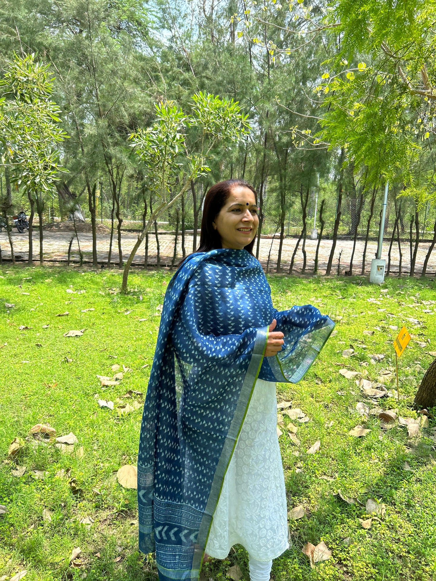 Indigo Linen Dupatta
