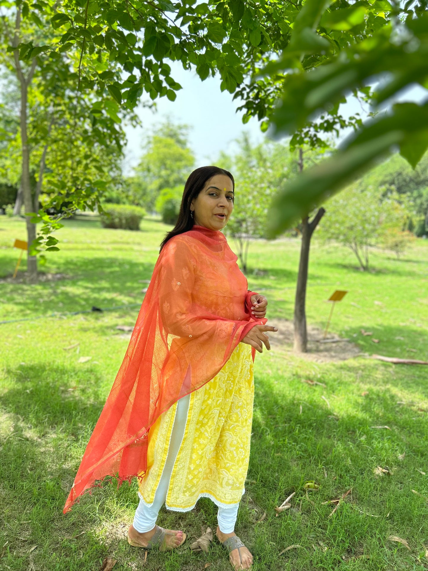 Rust Orange Kota Doria Chikankari Dupatta