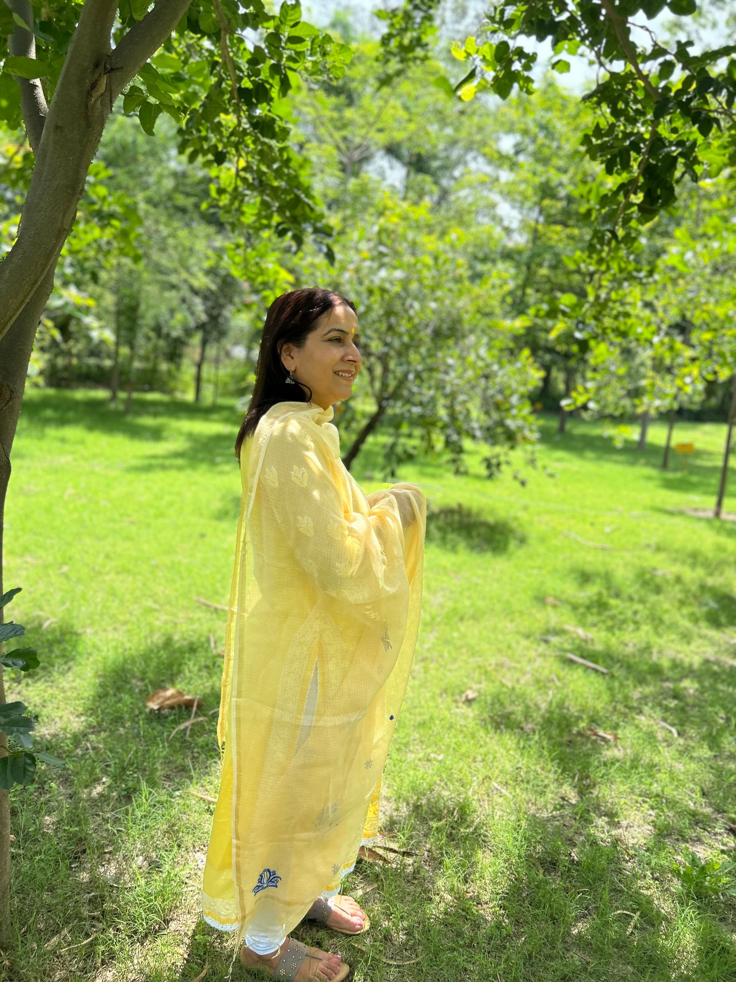 Yellow Kota Doria Chikankari Dupatta