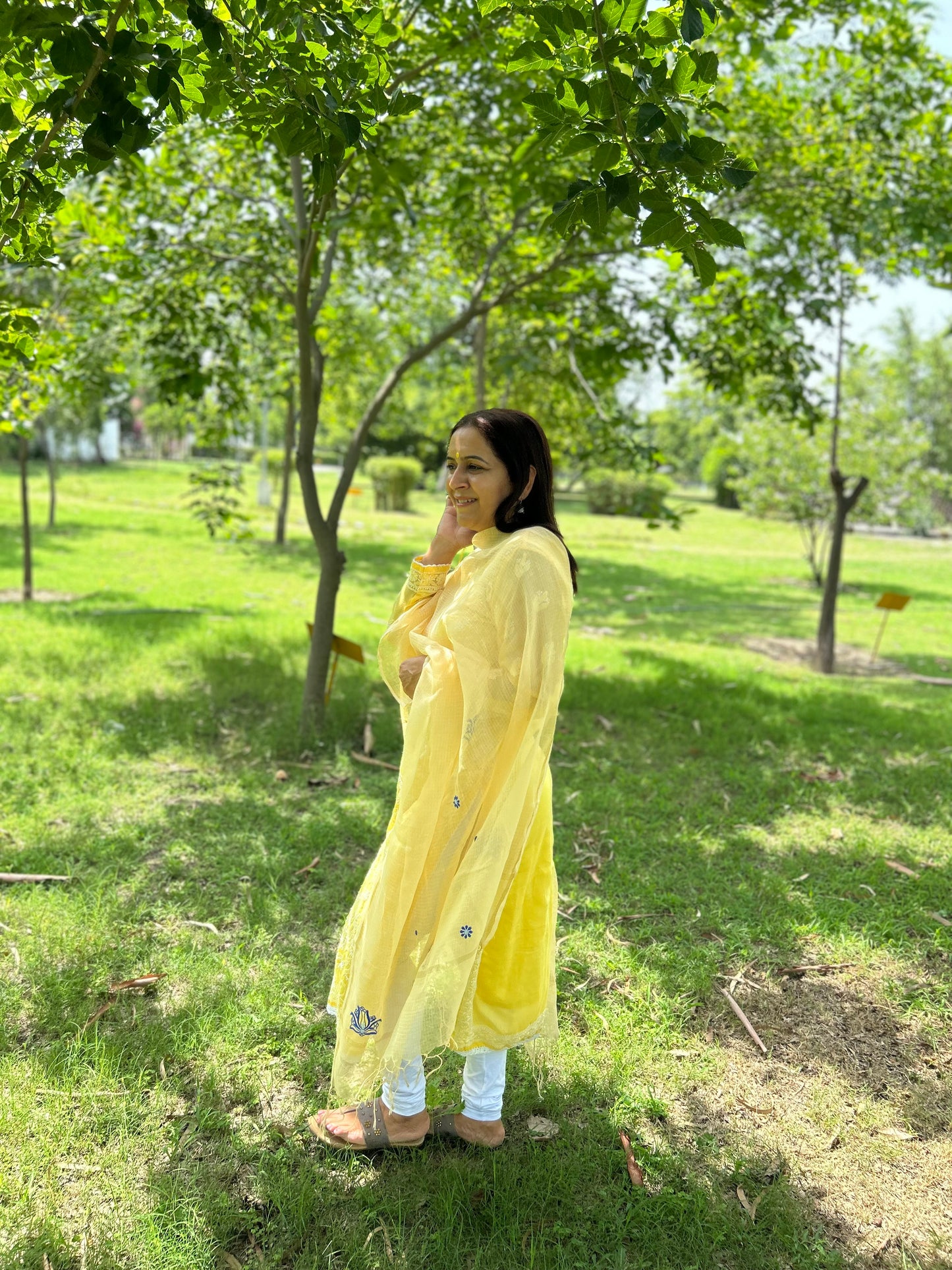 Yellow Kota Doria Chikankari Dupatta