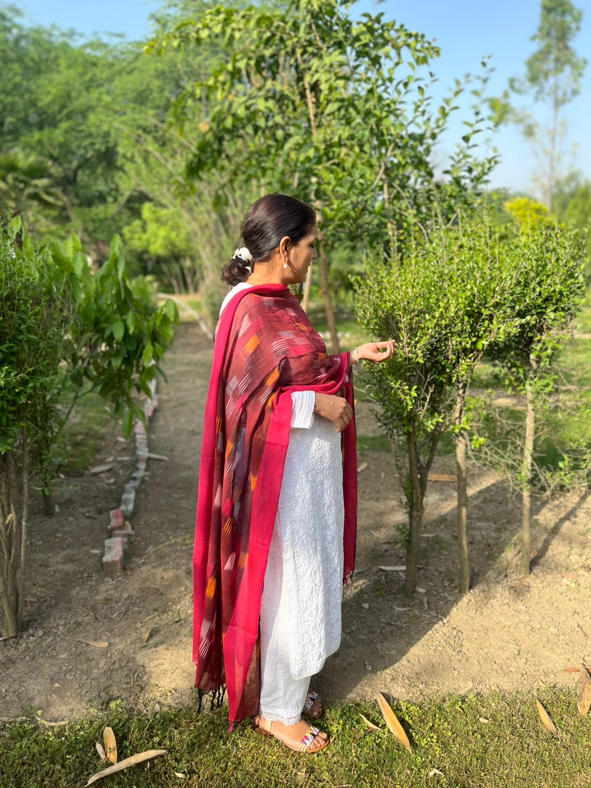 Red Handwoven Ikat Dupatta