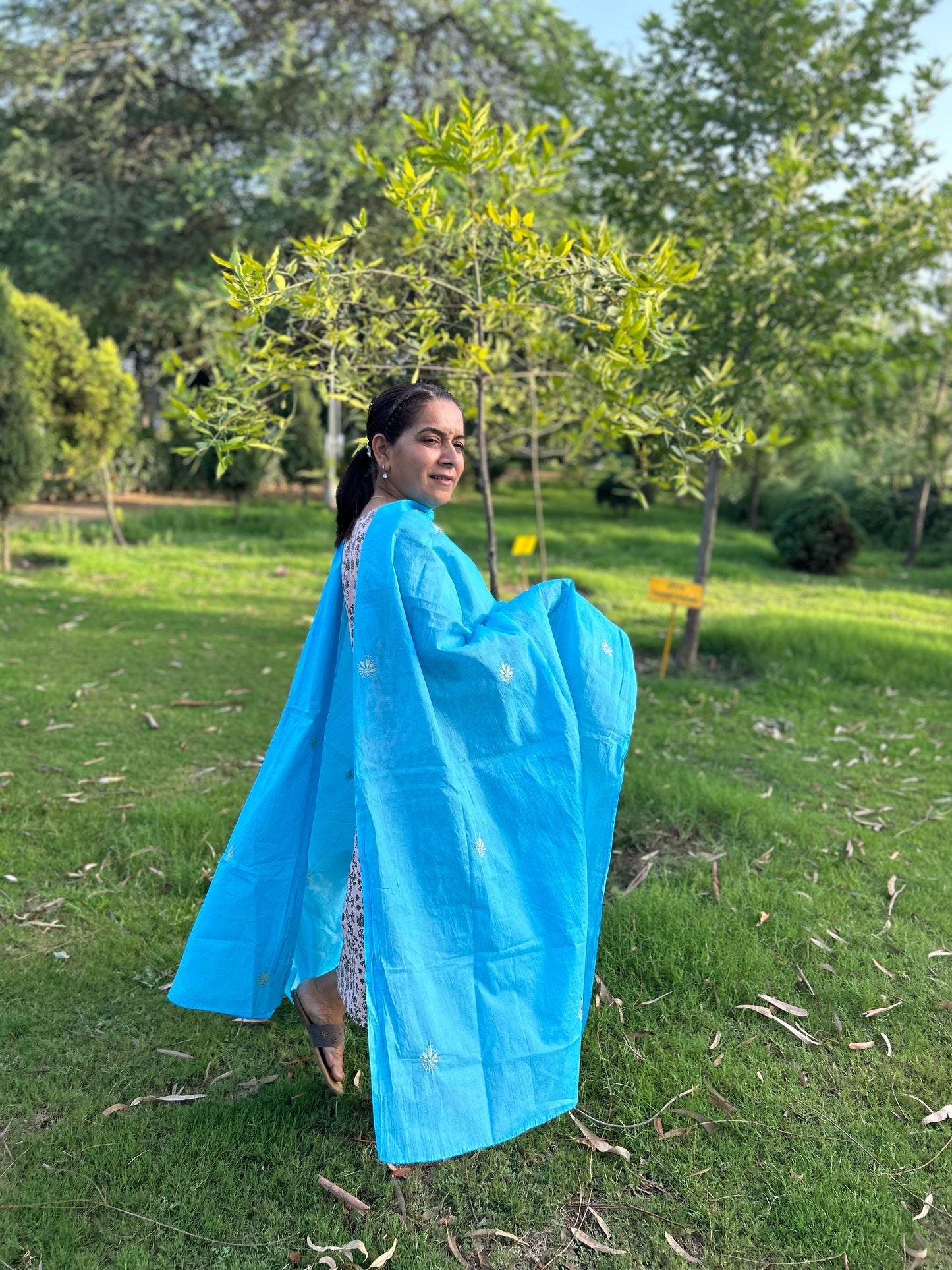 Blue Cotton Chikankari Dupatta