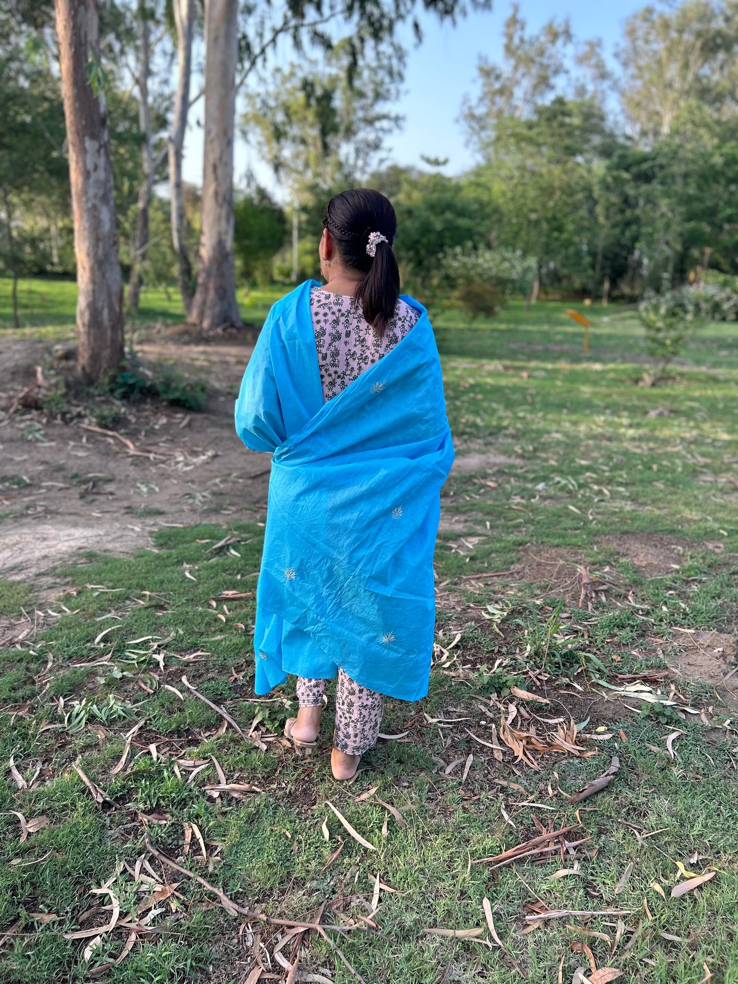 Blue Cotton Chikankari Dupatta