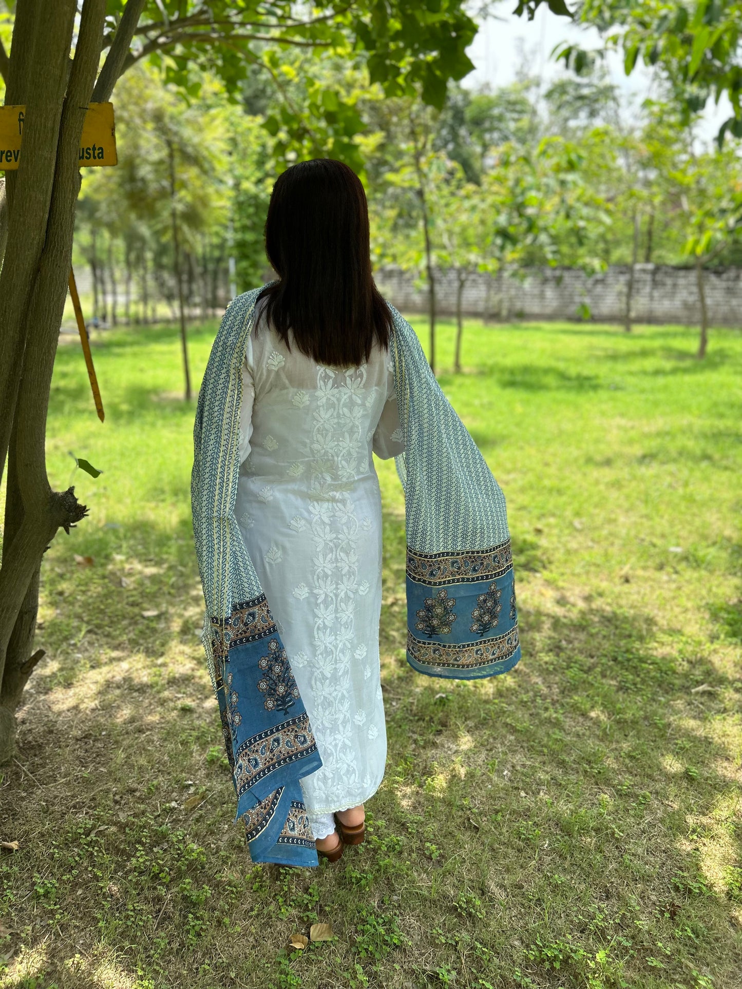 Light Brown Ikat Dupatta