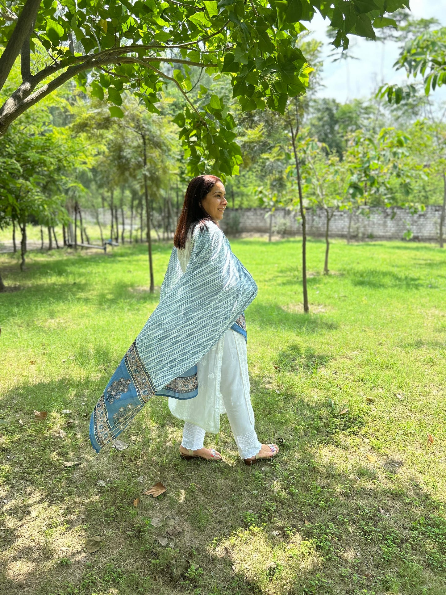 Light Brown Ikat Dupatta