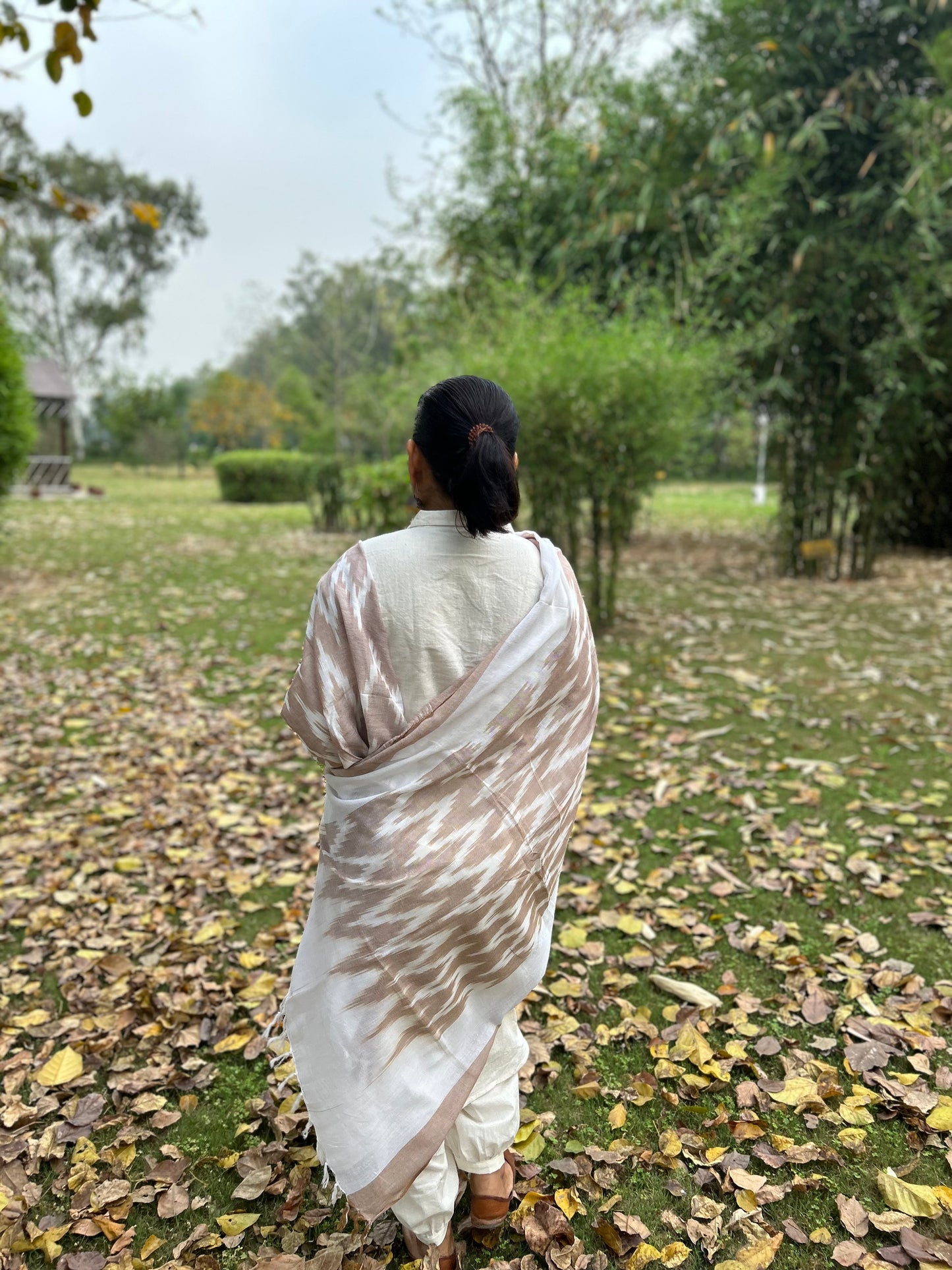 Light Brown Ikat Dupatta