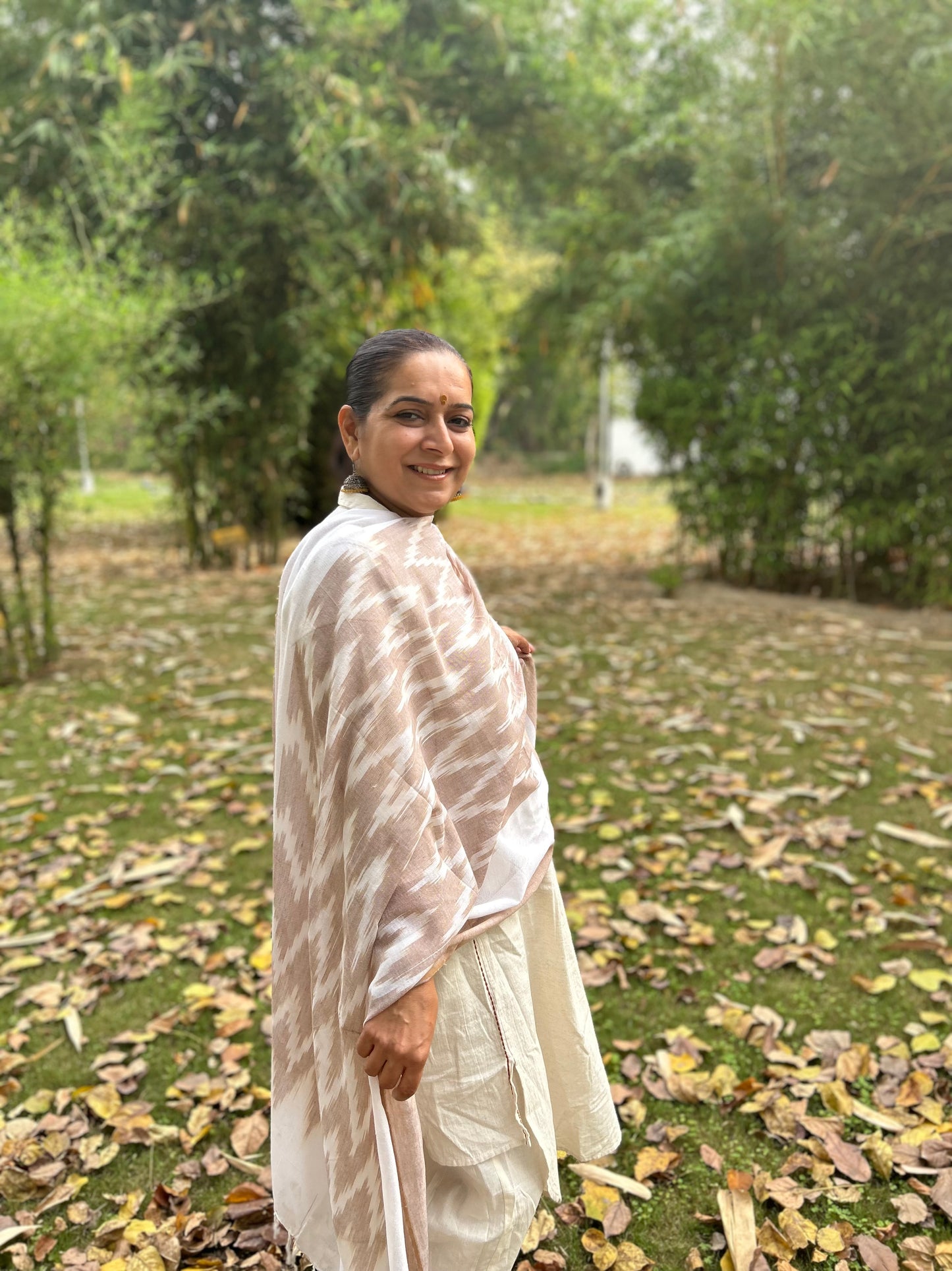 Light Brown Ikat Dupatta