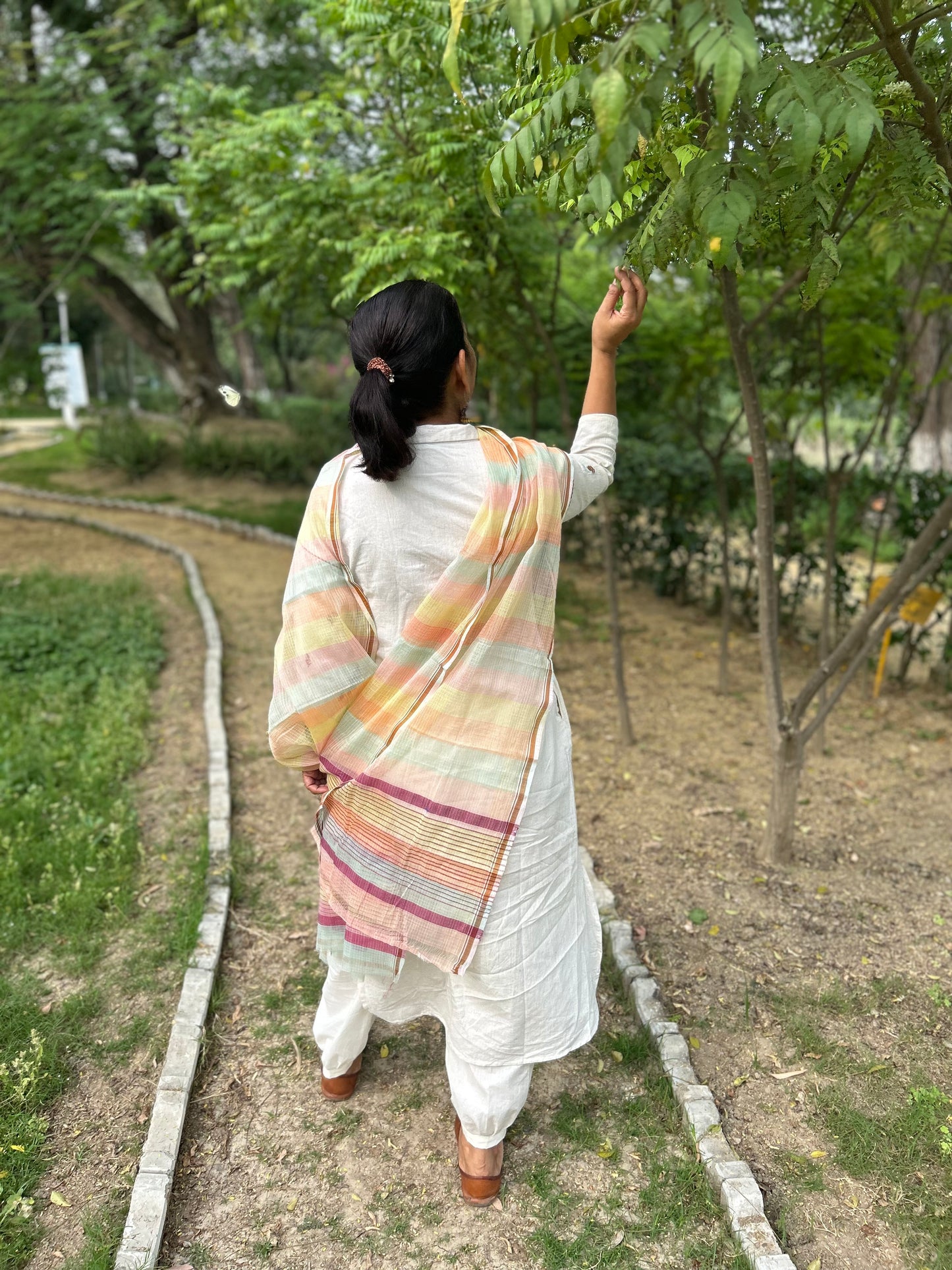 Multi Color Hand Woven Kota Doria Stole