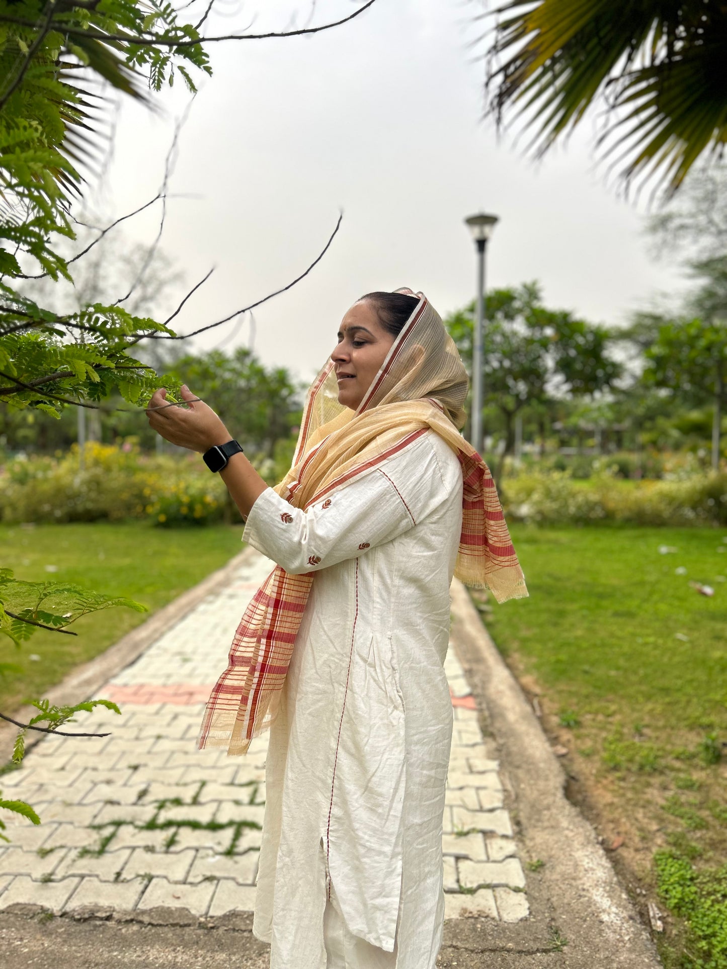Beige Hand Woven Kota Doria Stole