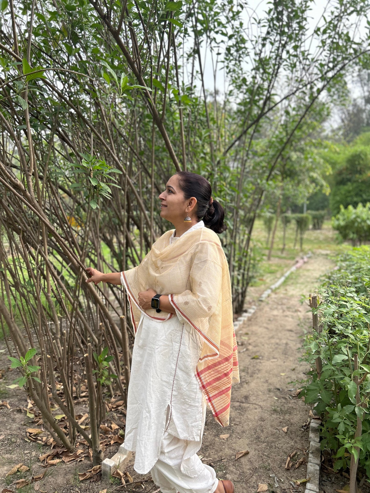 Beige Hand Woven Kota Doria Stole