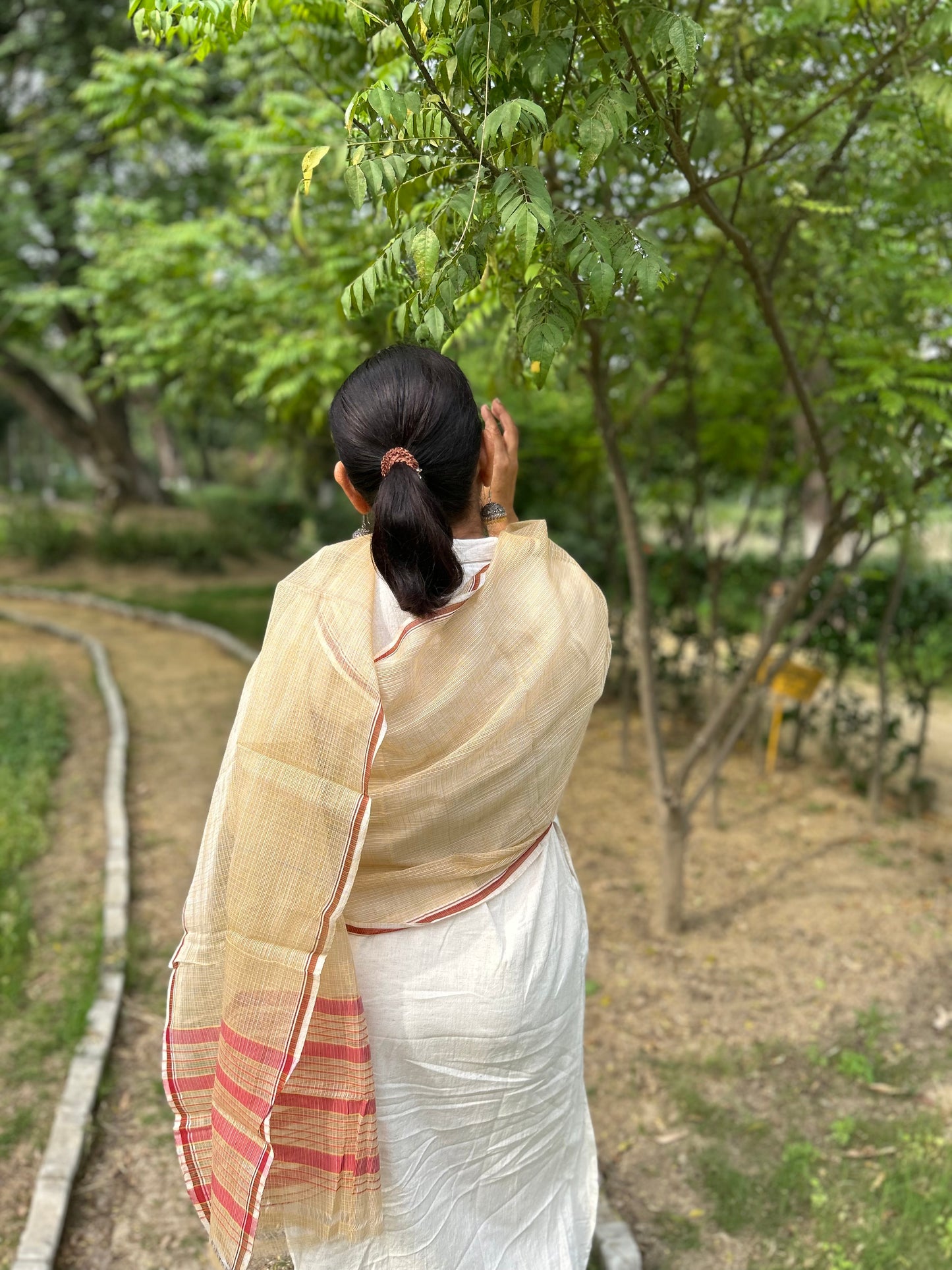Beige Hand Woven Kota Doria Stole
