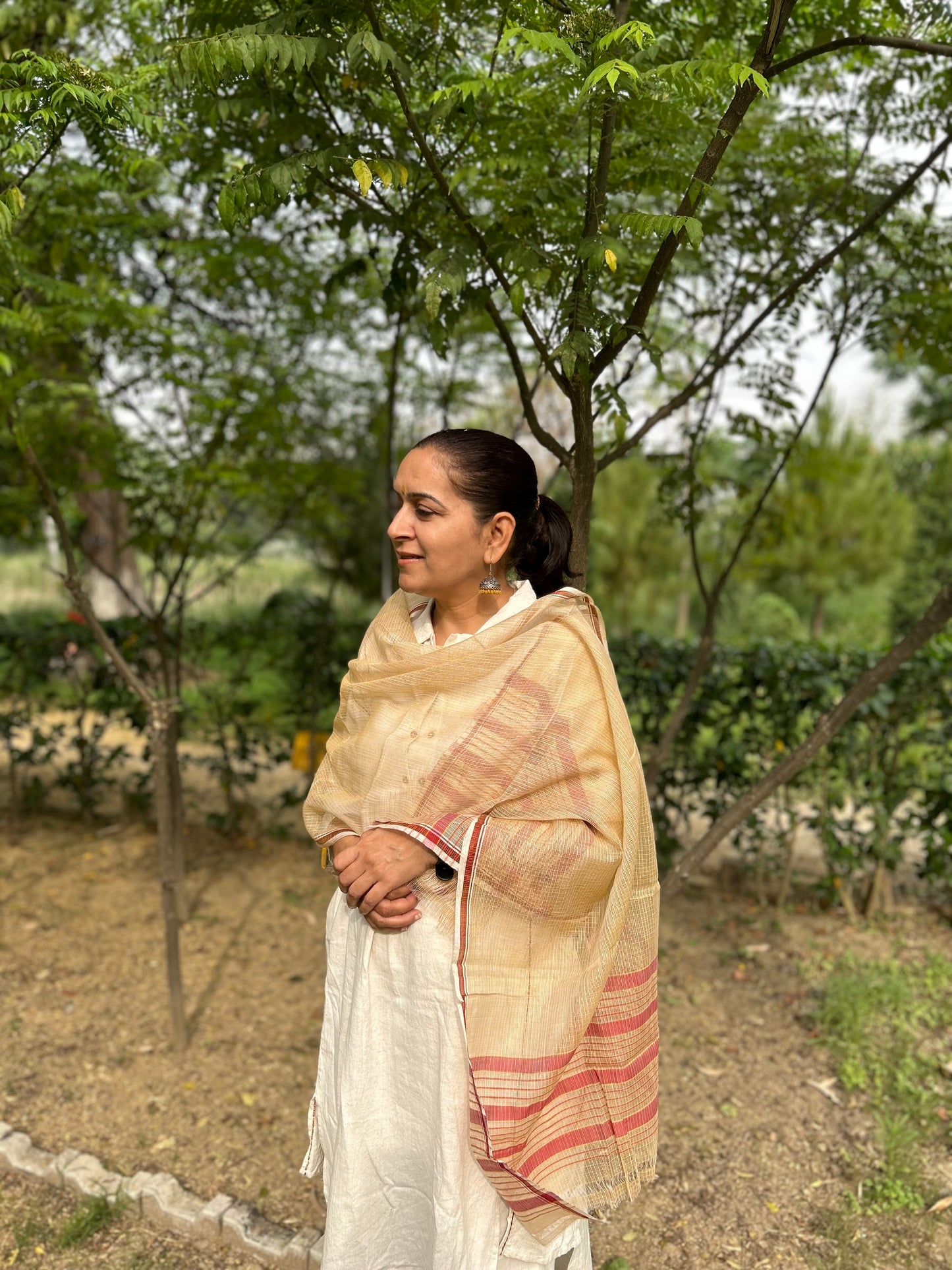 Beige Hand Woven Kota Doria Stole