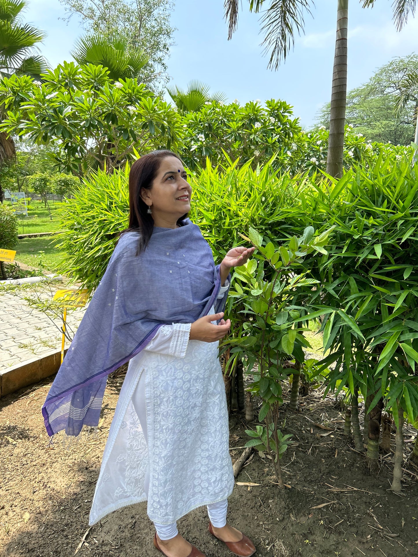Purple Cotton Stole
