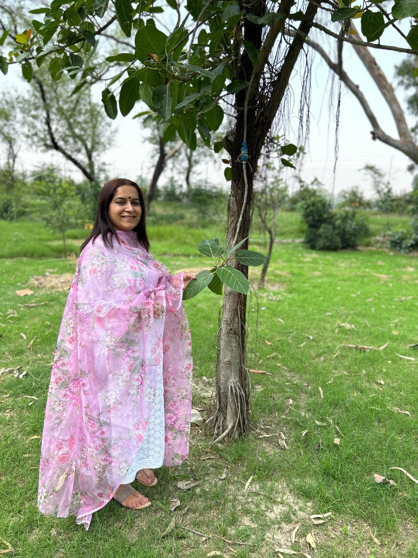 Pink Organza Digital Printed Dupatta