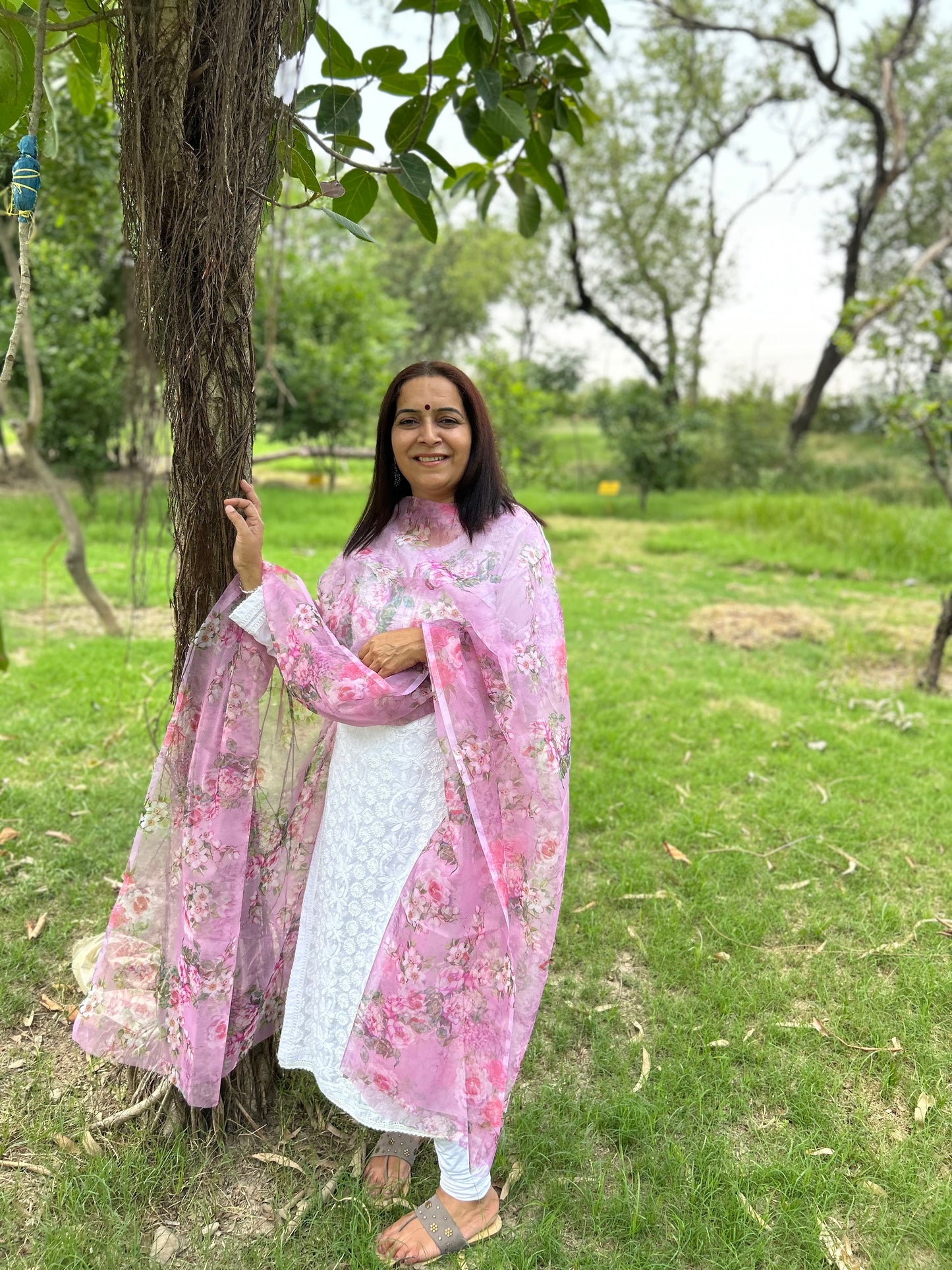 Pink Organza Digital Printed Dupatta