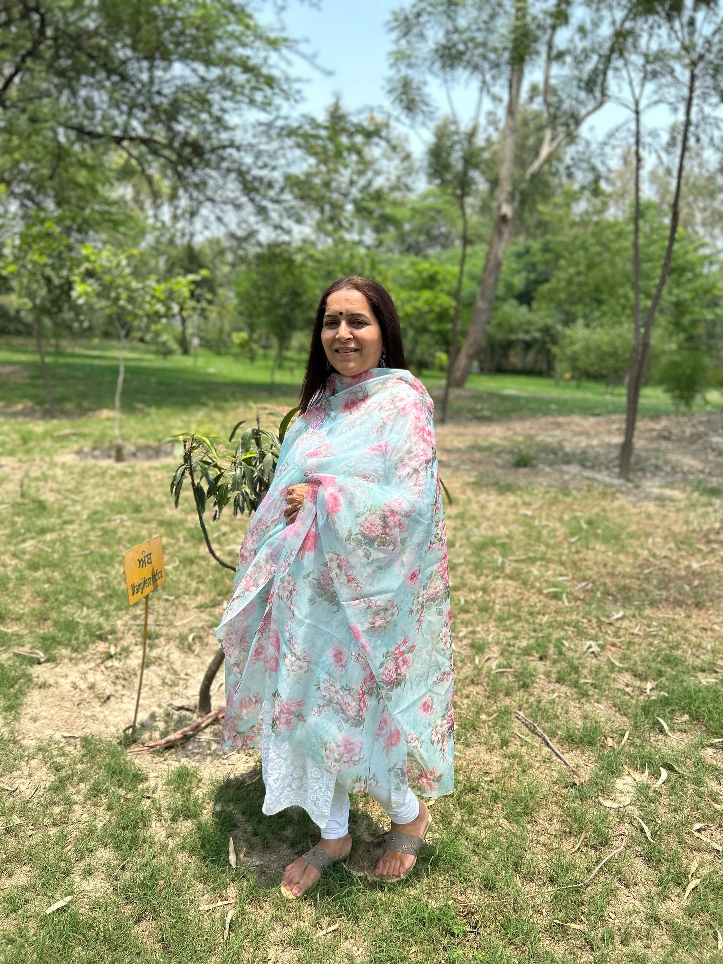 Green Digital Printed Organza Dupatta