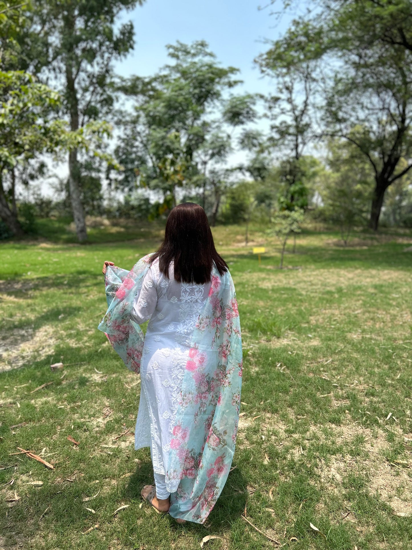 Green Digital Printed Organza Dupatta