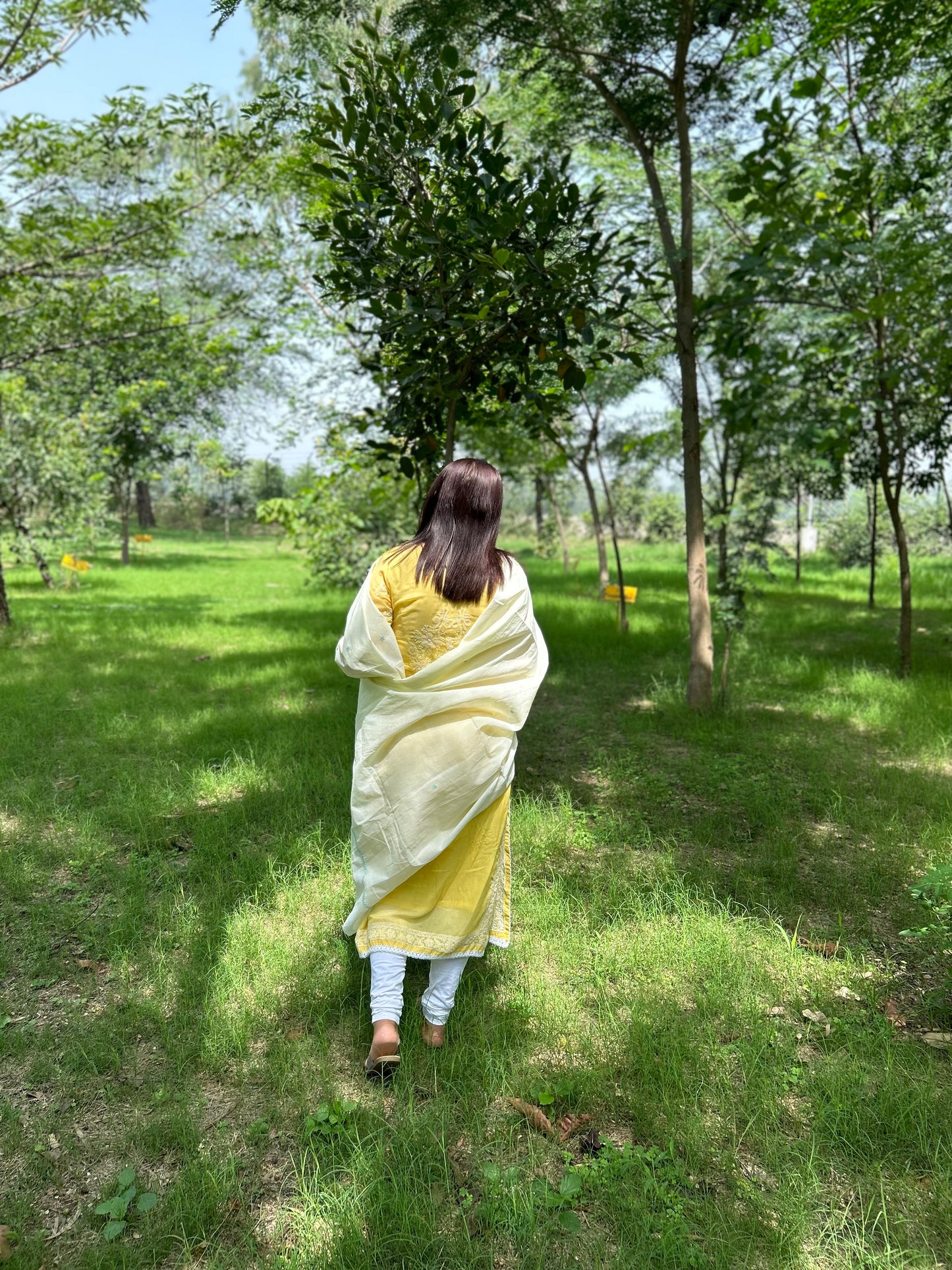 Off White Cotton Voile Chikankari Dupatta
