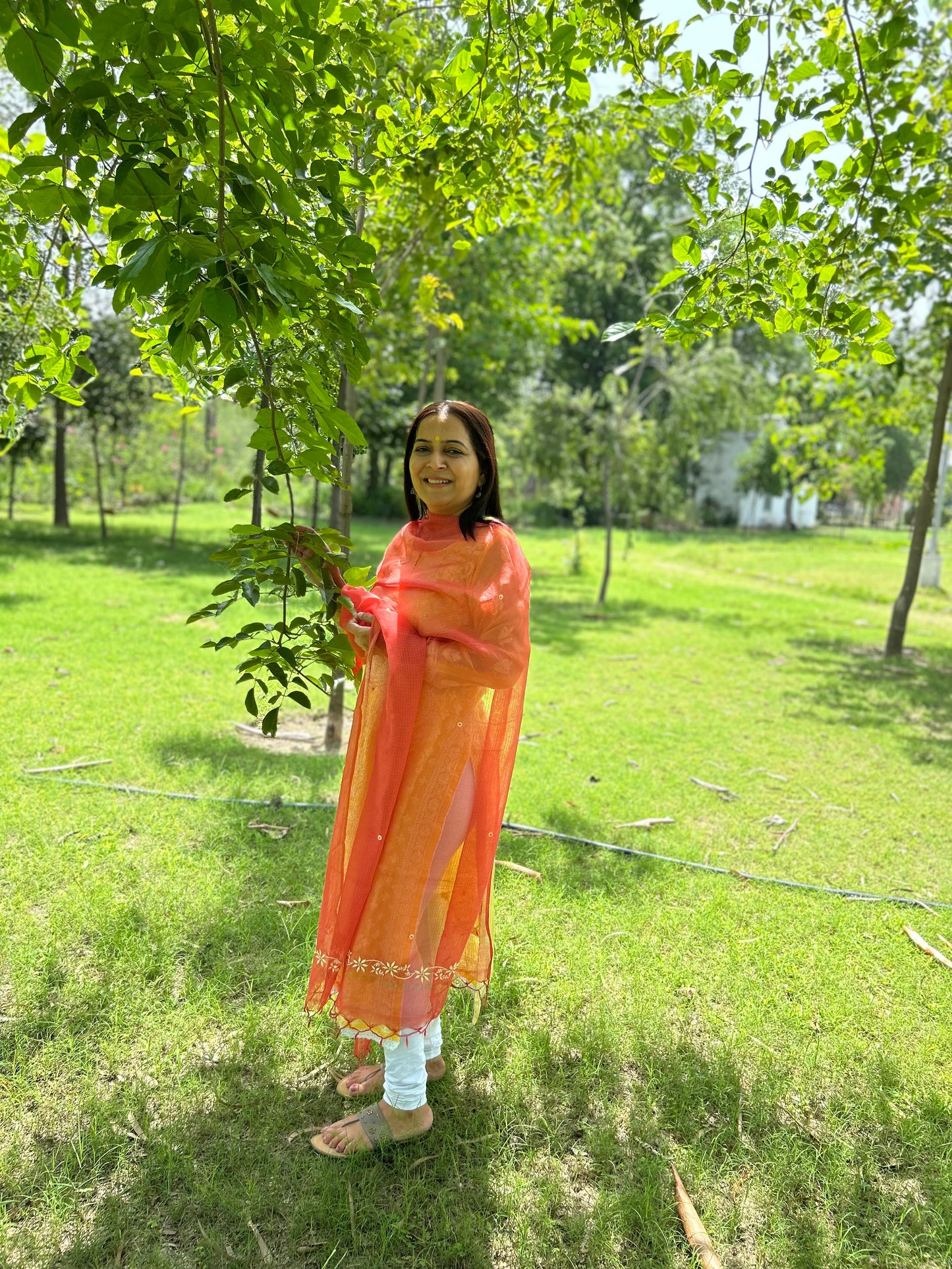 Rust Orange Kota Doria Chikankari Dupatta