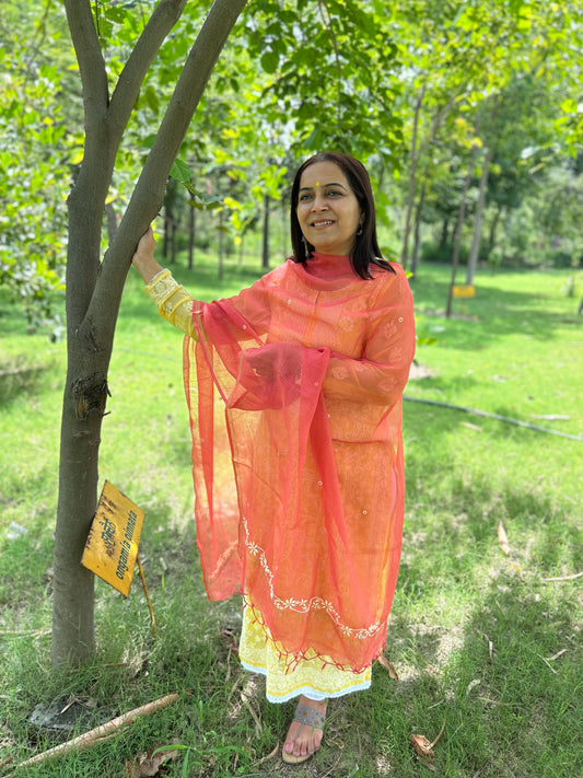 Rust Orange Kota Doria Chikankari Dupatta