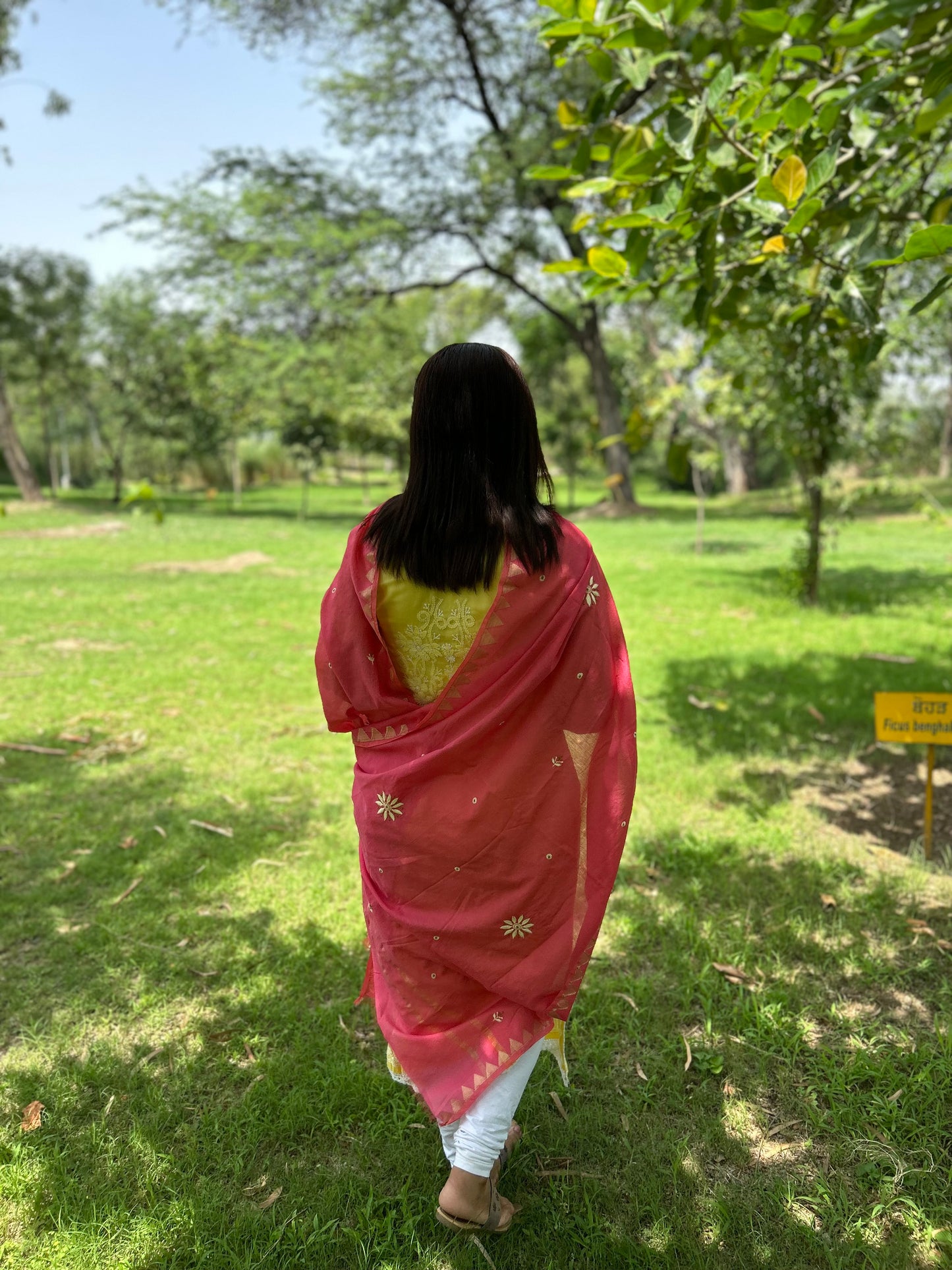 Pink Chanderi Chikankari Dupatta